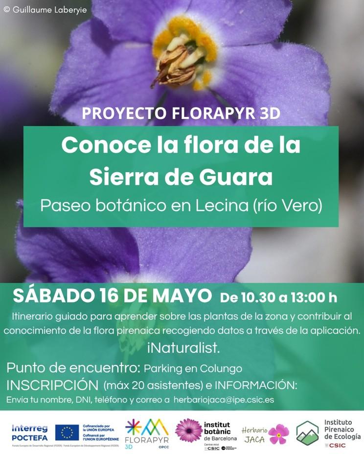 Imagen Actividad en Colungo 