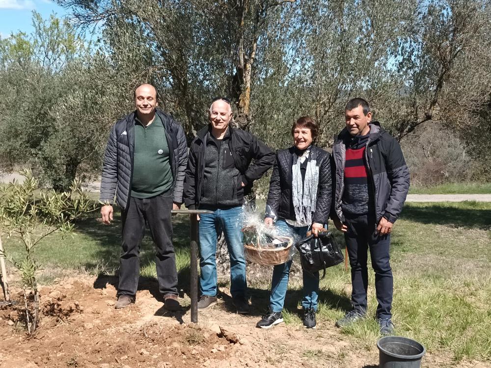 Imagen Emotivo acto de plantación de la olivera de Nadal