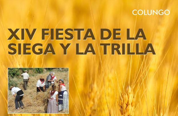 Imagen XIV Fiesta de la siega y la trilla en Colungo